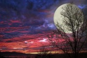 月亮给你带来了哪些美好的感觉50：探索内心的温暖与神秘之旅